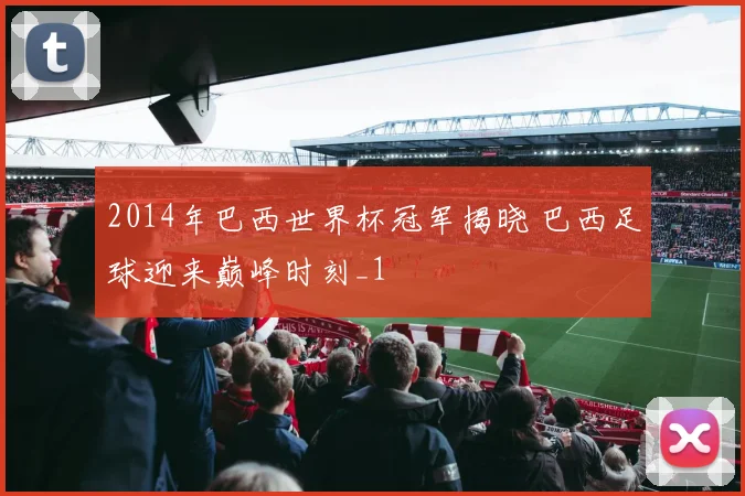 2014年巴西世界杯冠军揭晓 巴西足球迎来巅峰时刻_1