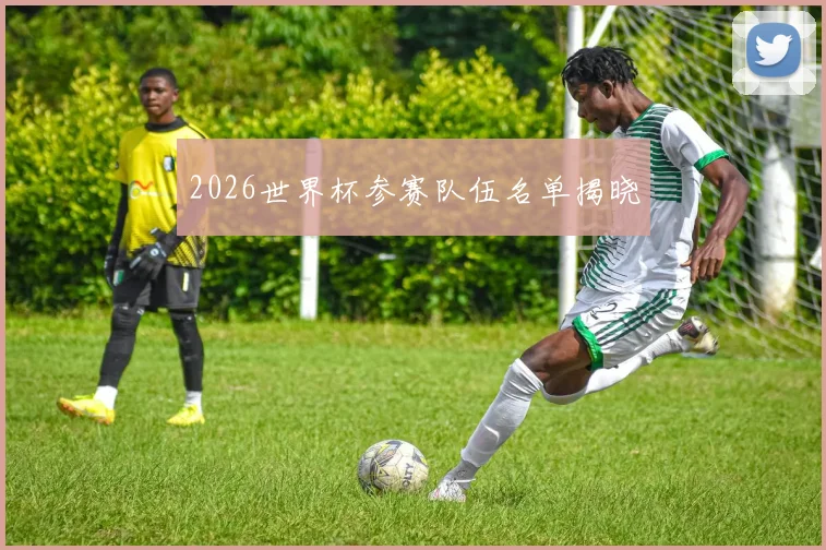 2026世界杯参赛队伍名单揭晓