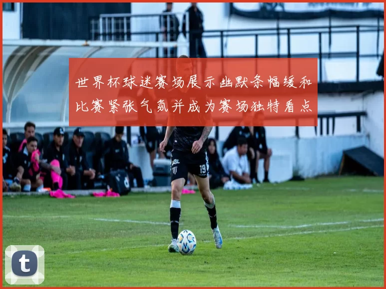 世界杯球迷赛场展示幽默条幅缓和比赛紧张气氛并成为赛场独特看点