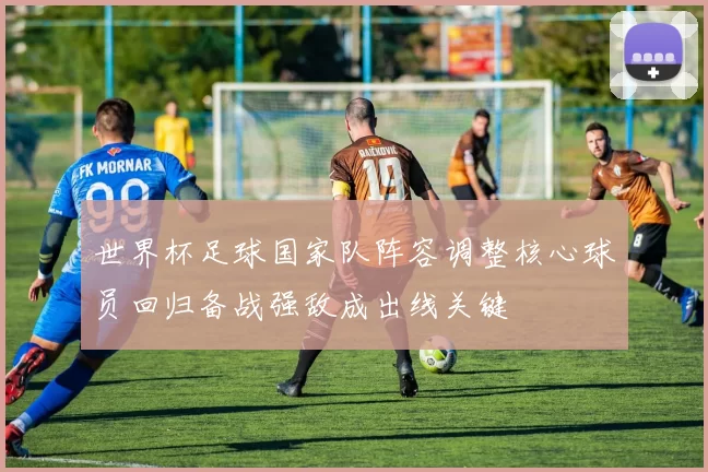 世界杯足球国家队阵容调整核心球员回归备战强敌成出线关键