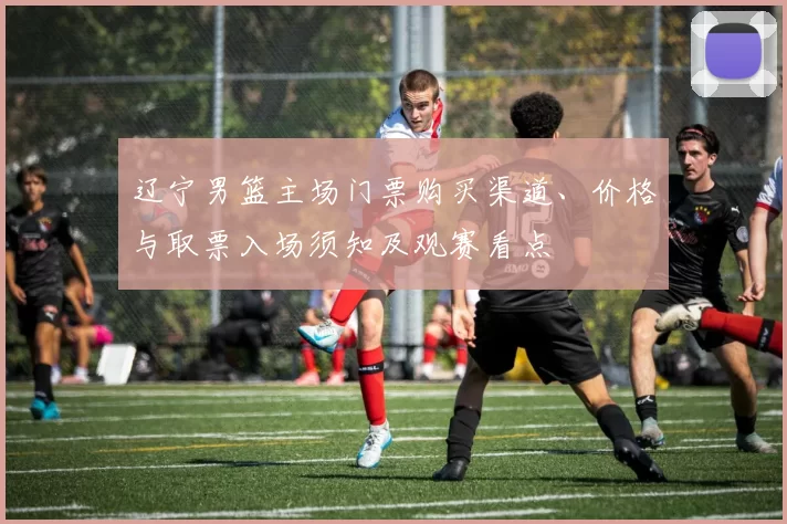辽宁男篮主场门票购买渠道、价格与取票入场须知及观赛看点
