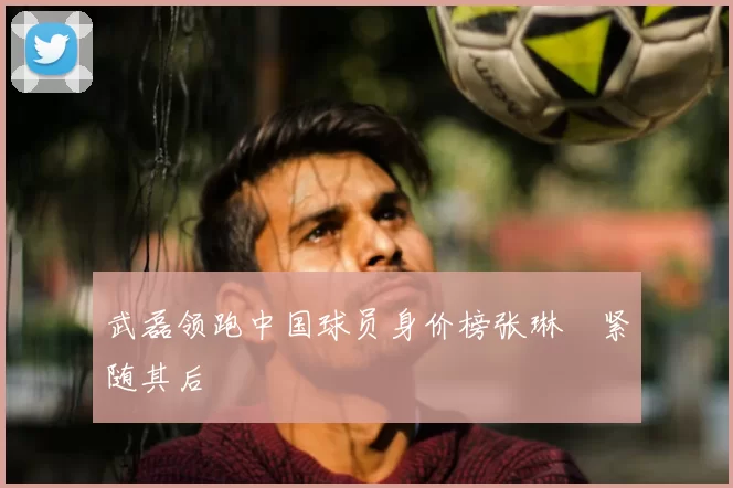 武磊领跑中国球员身价榜张琳芃紧随其后