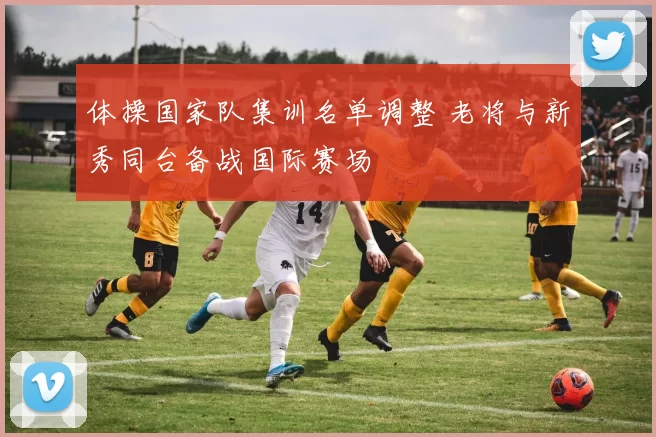 体操国家队集训名单调整 老将与新秀同台备战国际赛场