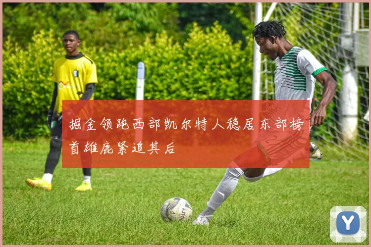 掘金领跑西部凯尔特人稳居东部榜首雄鹿紧追其后