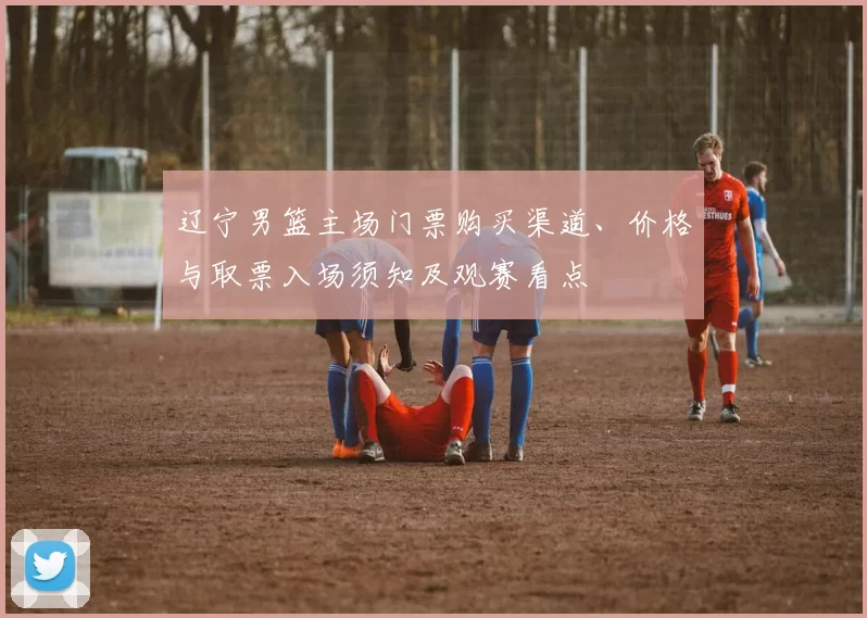 辽宁男篮主场门票购买渠道、价格与取票入场须知及观赛看点
