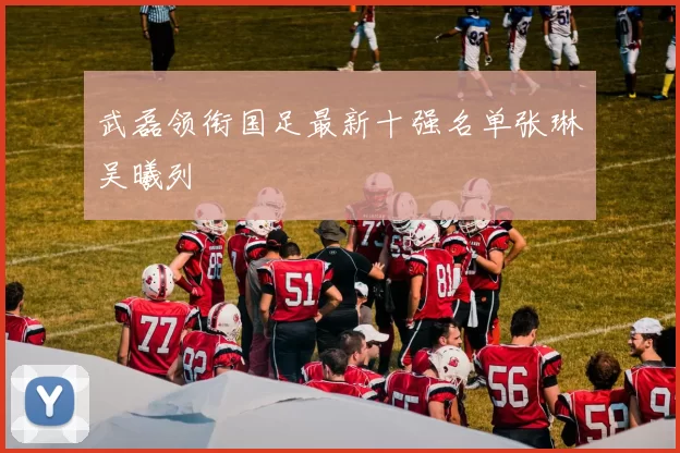 武磊领衔国足最新十强名单张琳芃吴曦列