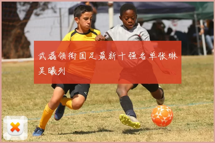 武磊领衔国足最新十强名单张琳芃吴曦列