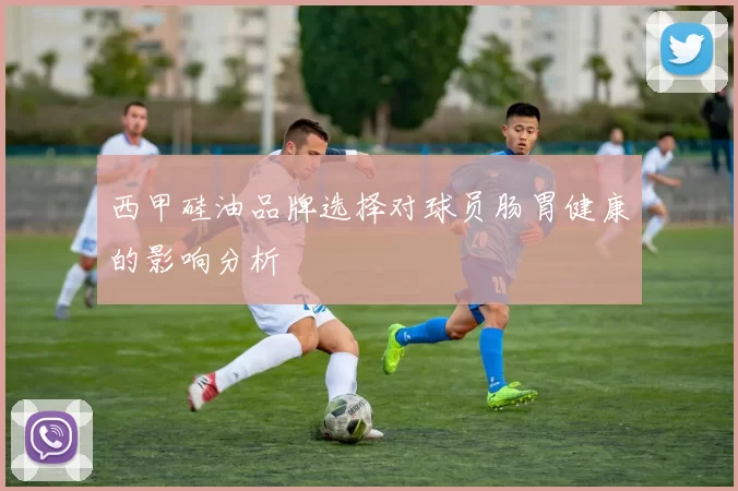 西甲硅油品牌选择对球员肠胃健康的影响分析