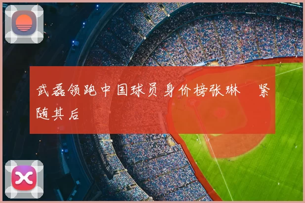 武磊领跑中国球员身价榜张琳芃紧随其后