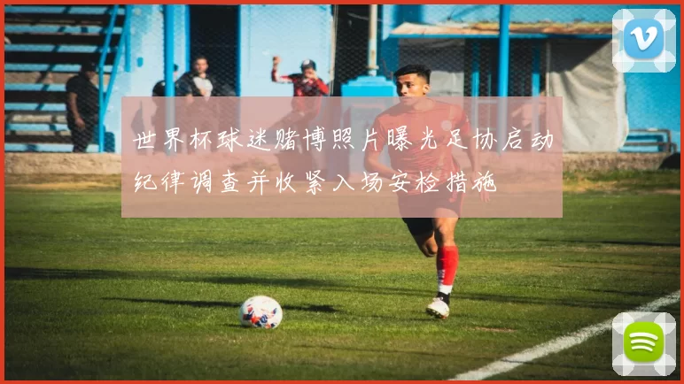 世界杯球迷赌博照片曝光足协启动纪律调查并收紧入场安检措施